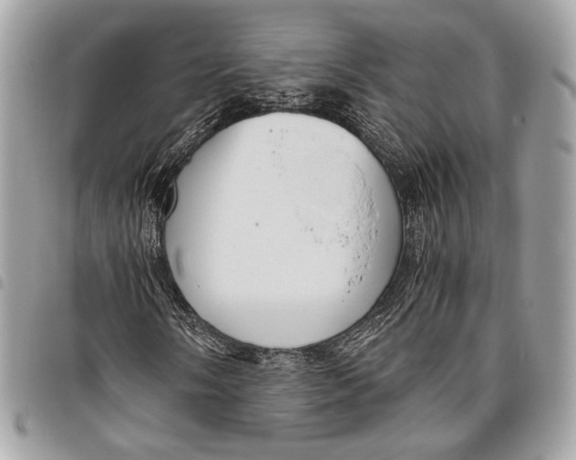 X0000096221058200802081520