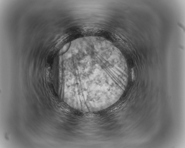 X0000096221059200802081520