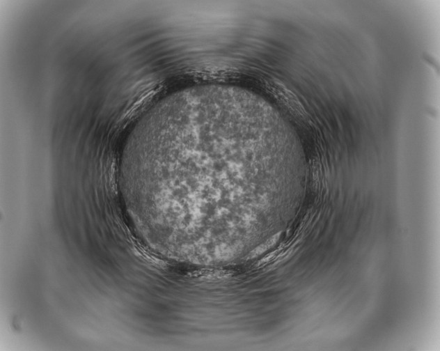 X0000096221060200802081520