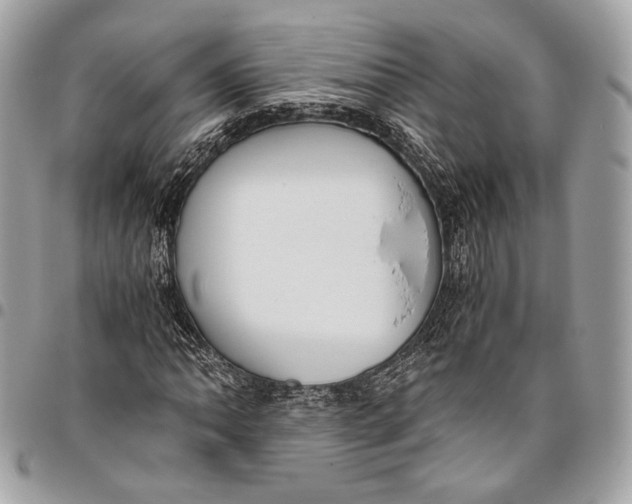 X0000096221062200802081520