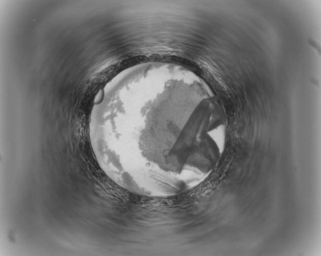 X0000096221063200802081520