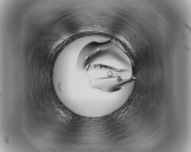 X0000096221064200802081520