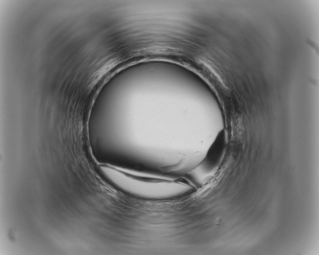 X0000096221065200802081520