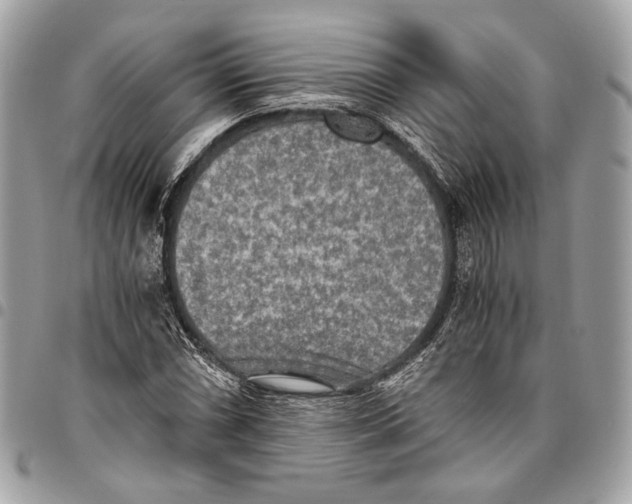 X0000096221066200802081520