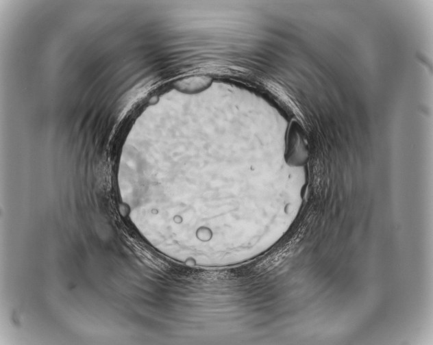 X0000096221067200802081520