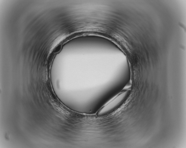 X0000096221069200802081520