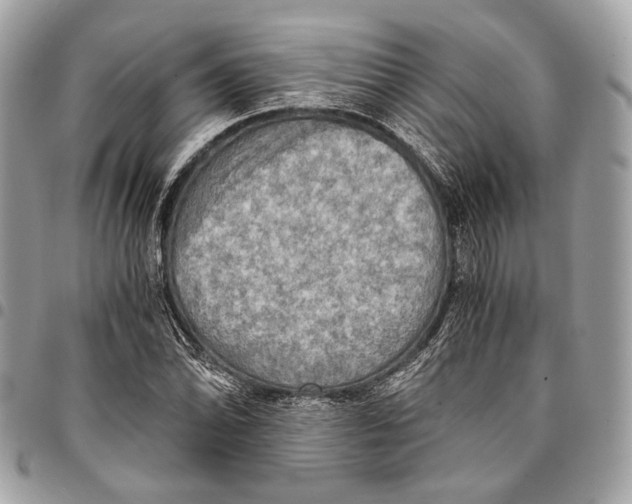 X0000096221070200802081520