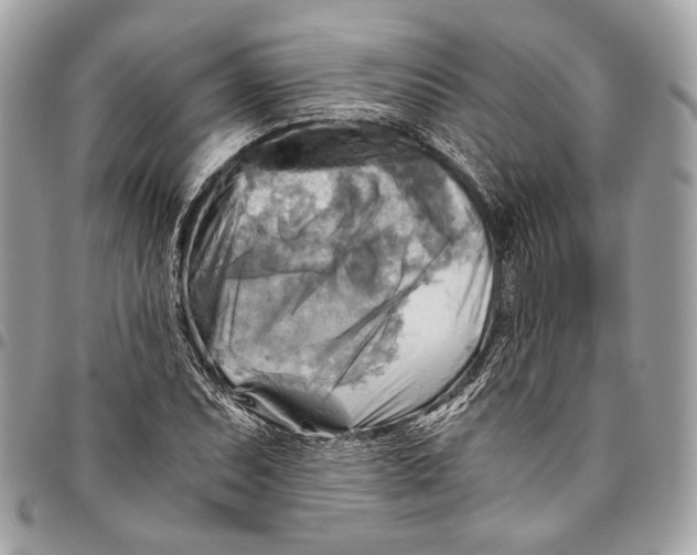 X0000096221071200802081520