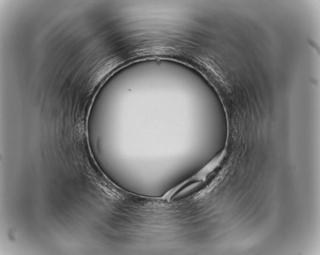 X0000096221073200802081520