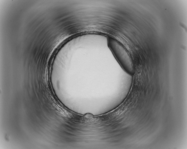 X0000096221076200802081520