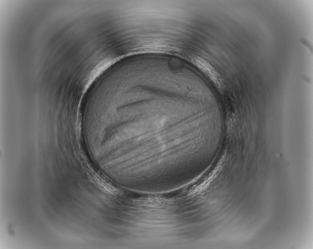 X0000096221077200802081520