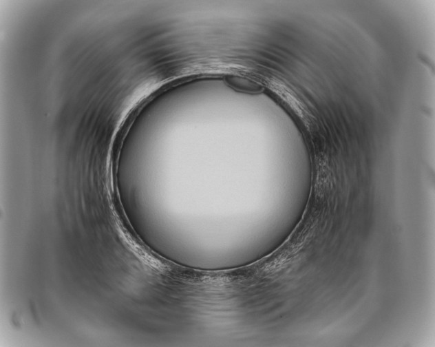 X0000096221080200802081520