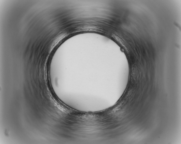 X0000096221082200802081520