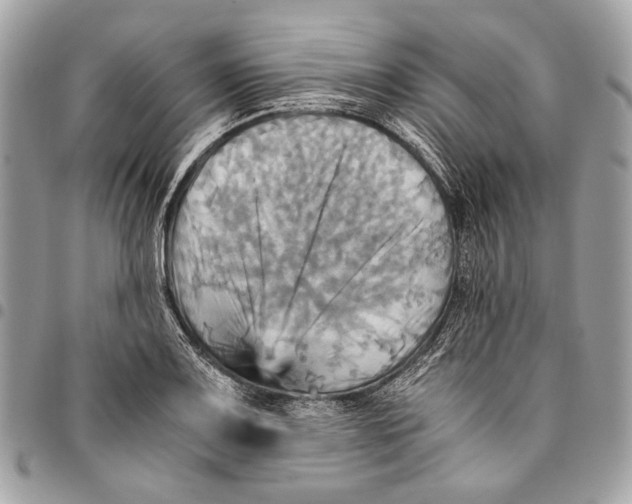 X0000096221083200802081520