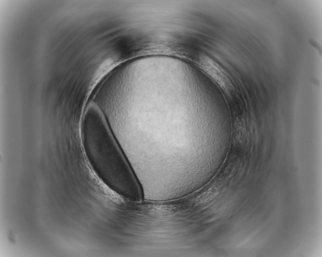 X0000096221084200802081520