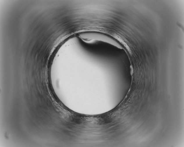 X0000096221085200802081520