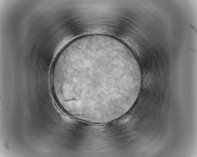 X0000096221086200802081520