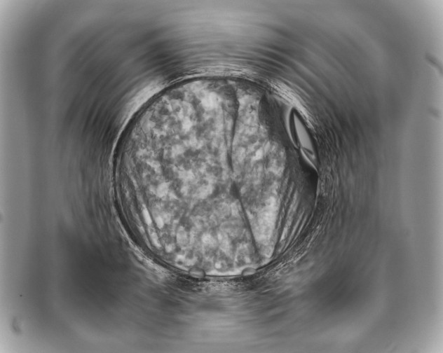 X0000096221087200802081520