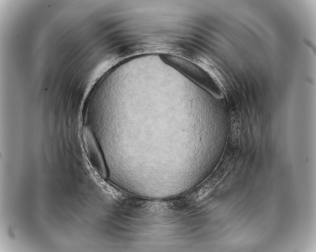 X0000096221088200802081520