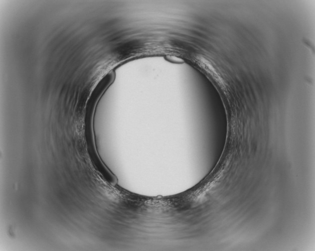 X0000096221089200802081520