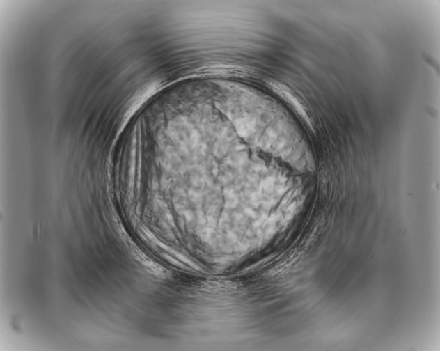 X0000096221091200802081520