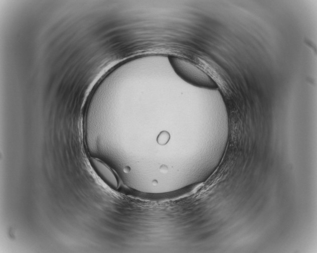 X0000096221092200802081520