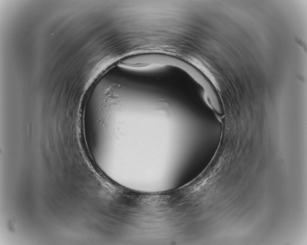 X0000096221093200802081520