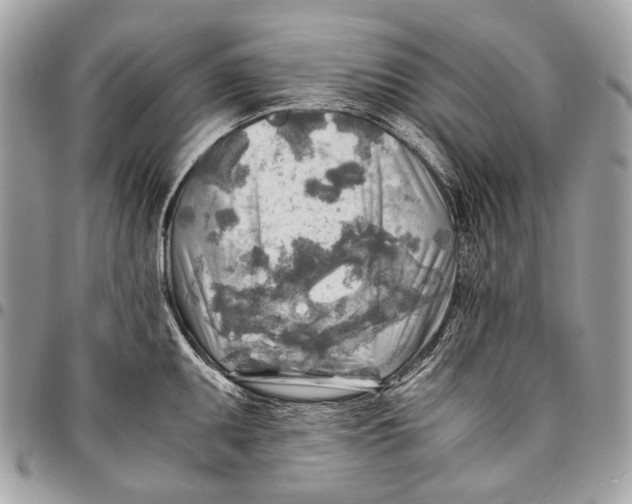 X0000096221095200802081520