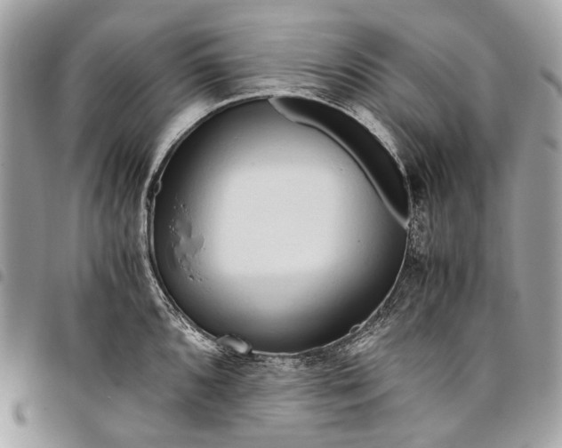 X0000096221096200802081520