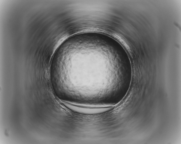 X0000096221097200802081520