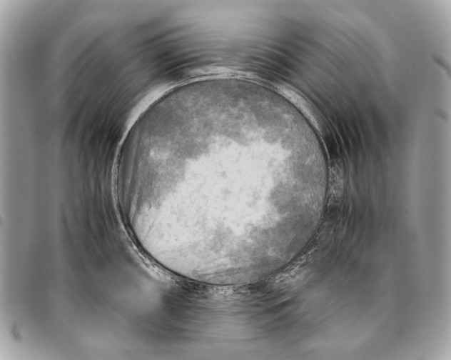 X0000096221098200802081520