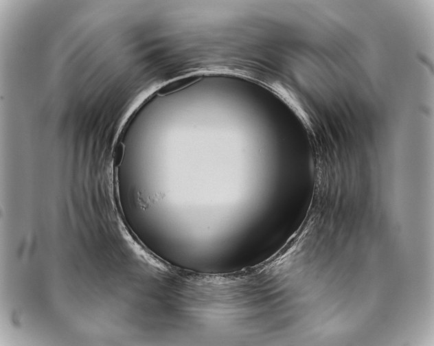 X0000096221100200802081520