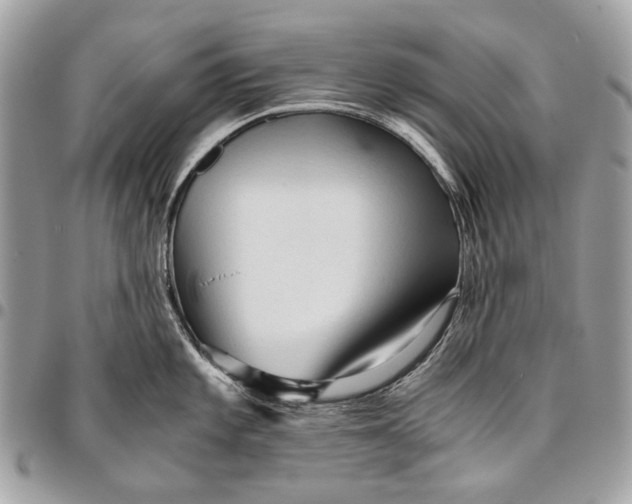 X0000096221101200802081520