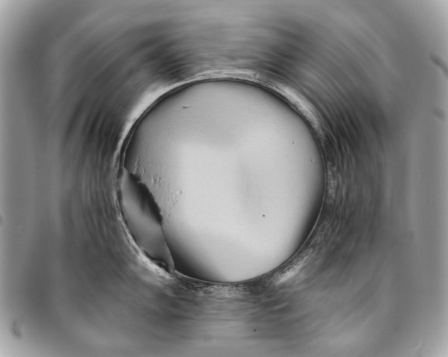 X0000096221102200802081520