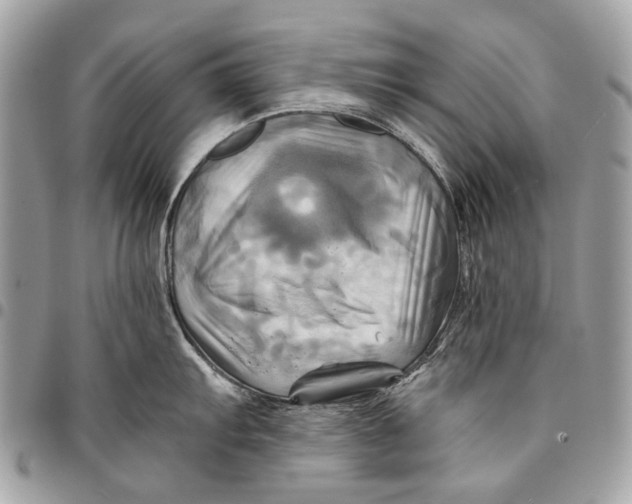 X0000096221103200802081520