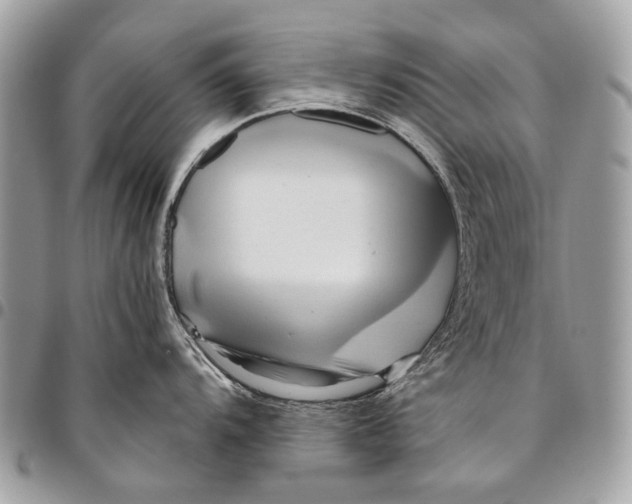 X0000096221104200802081520