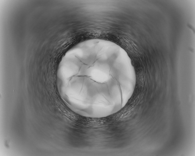 X0000096221105200802081519