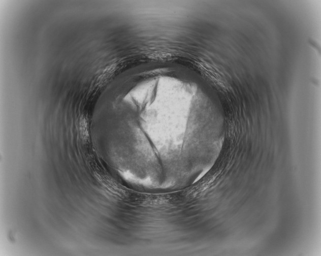 X0000096221106200802081519