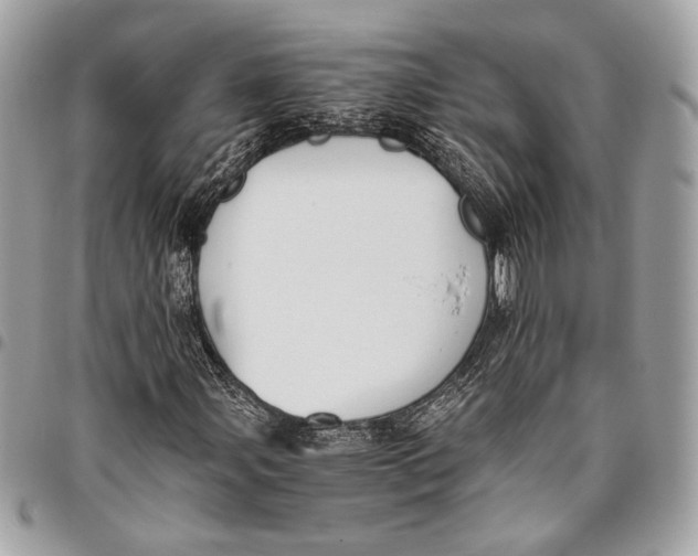 X0000096221107200802081519