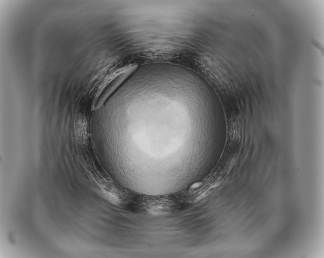 X0000096221108200802081519