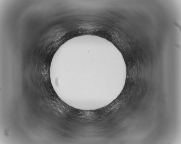 X0000096221109200802081519