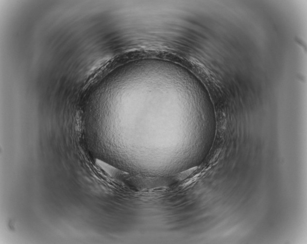 X0000096221110200802081519