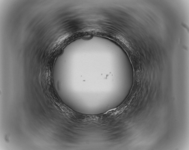 X0000096221111200802081519