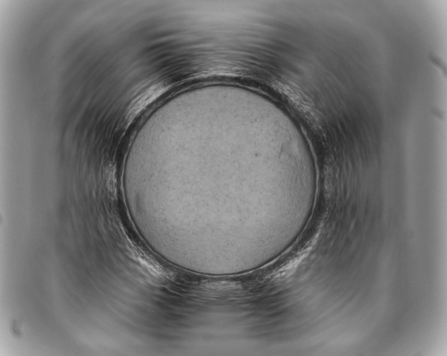 X0000096221113200802081519