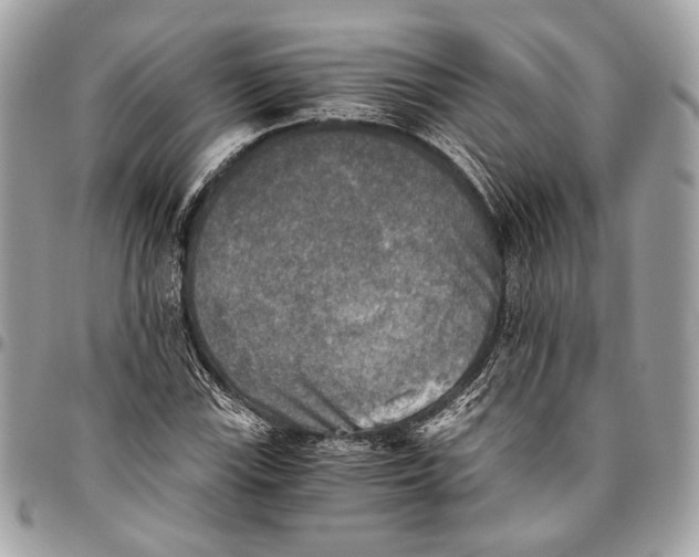 X0000096221115200802081519