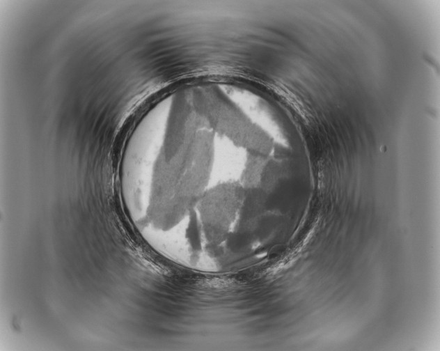 X0000096221117200802081519