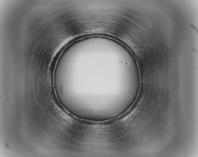 X0000096221118200802081519