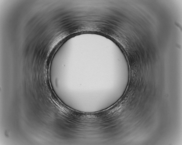 X0000096221119200802081519