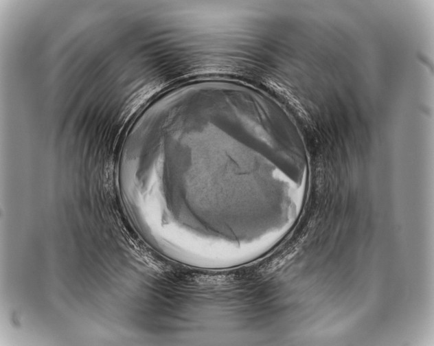 X0000096221121200802081519