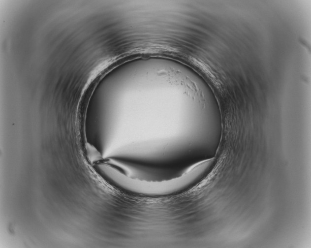 X0000096221122200802081519